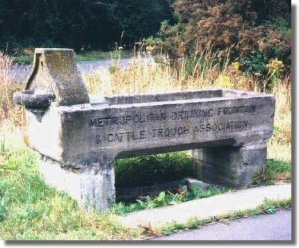 Horse Trough, Englefield Green