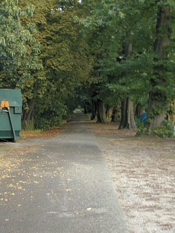 chestnutwalk.jpg