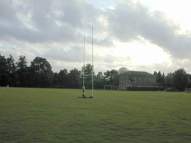 playingfield.jpg